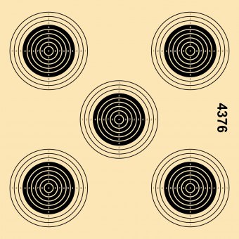 Luftgewehr Trainingsscheibe 14x14 cm 5er-Ringe