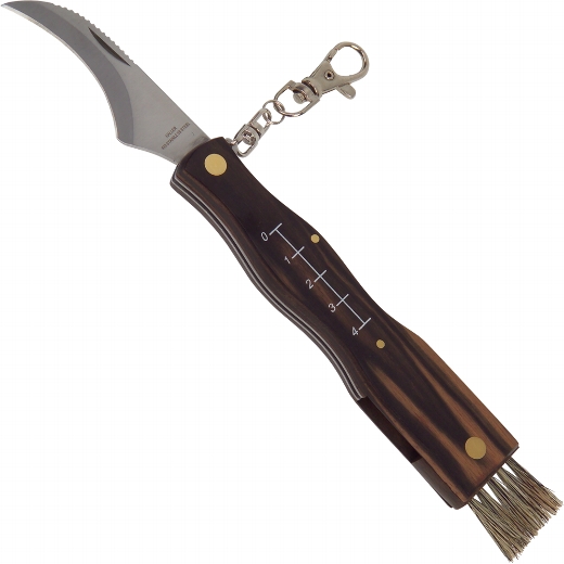 Haller Pilzmesser mit Holzgriff
