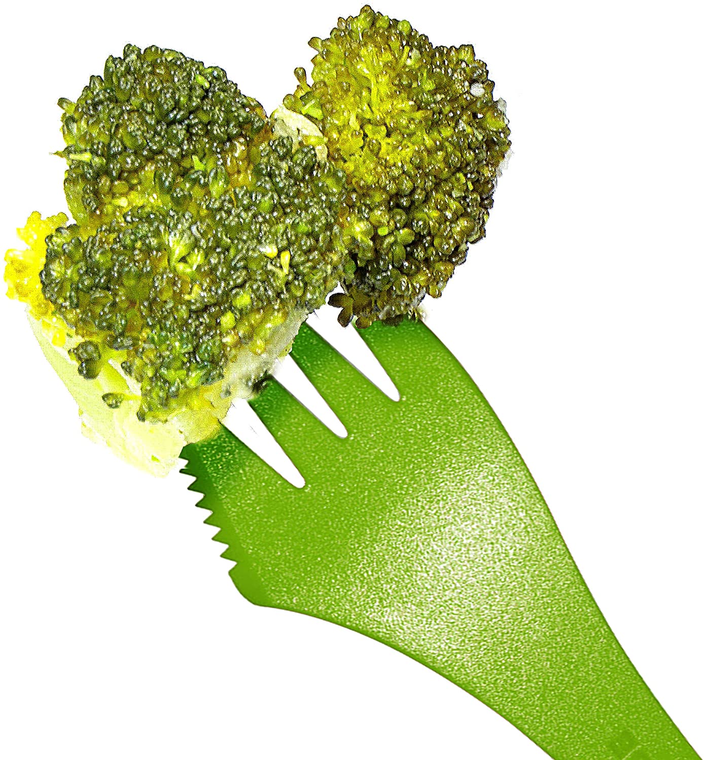 91P4cPHdtxL-_AC_SL1500_