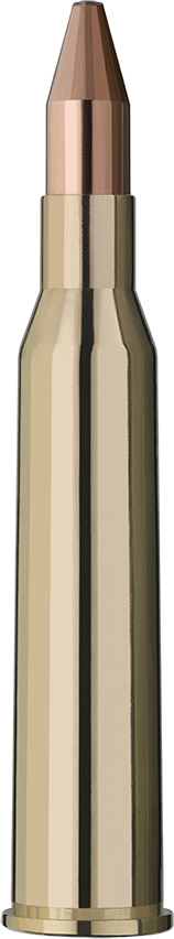 2117150_RWS_6-5x57r_ks_8-2g_Einzelpatrone-Seite