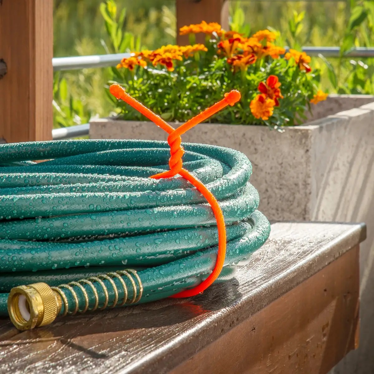 gt24-2pk-31_f_0435_sqrgb