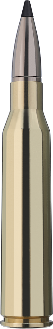 2403863_RWS_338lm_speed-tip-pro_16-2g_Einzelpatrone-Seite