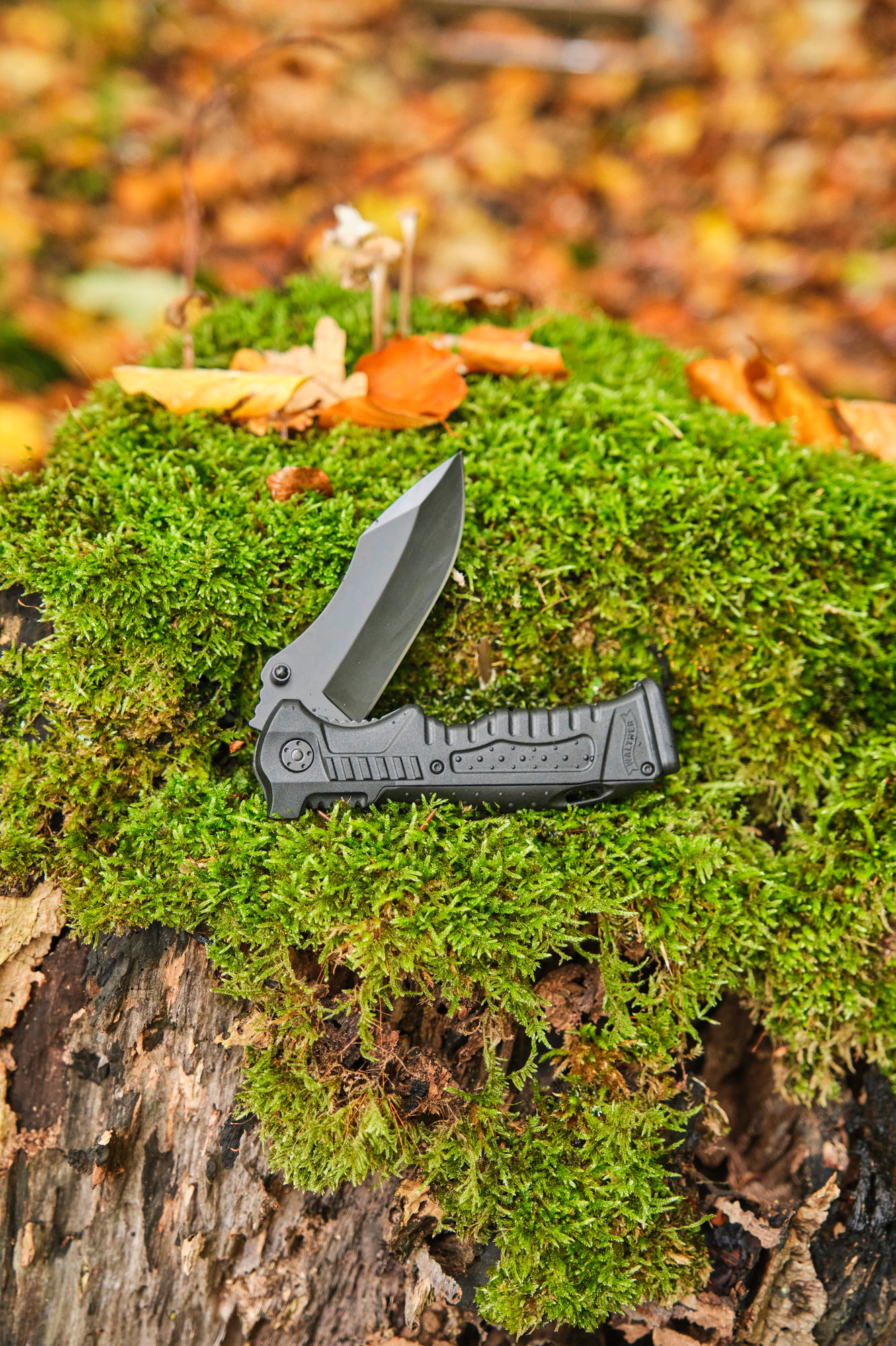 Walther P99 Klappmesser
