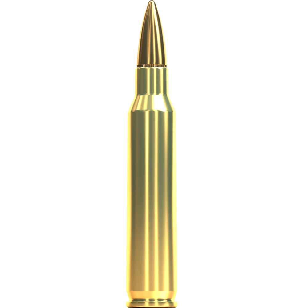 server-1207ObOrpag9Qd