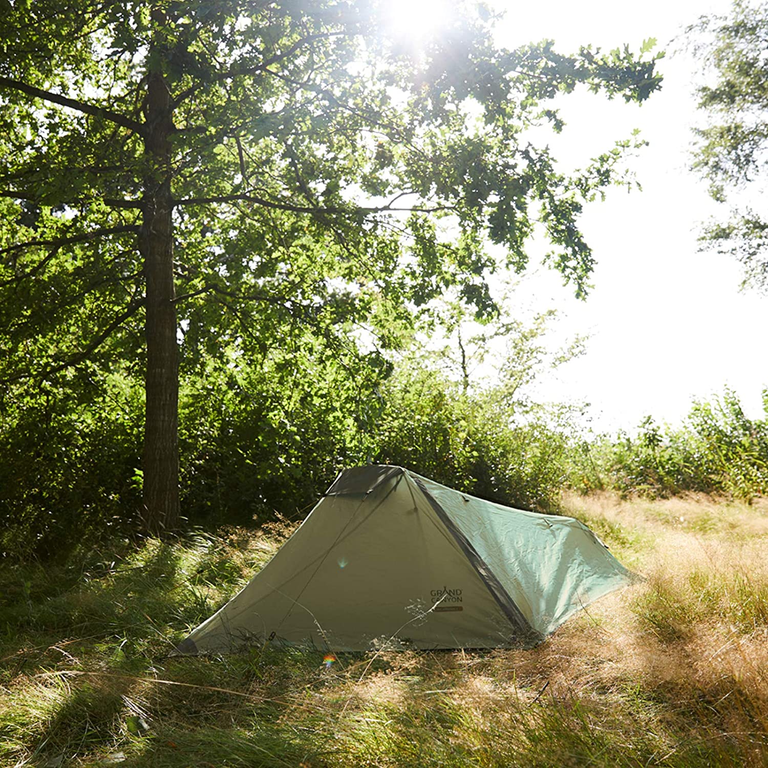 81N59HnG9NL-_AC_SL1500_