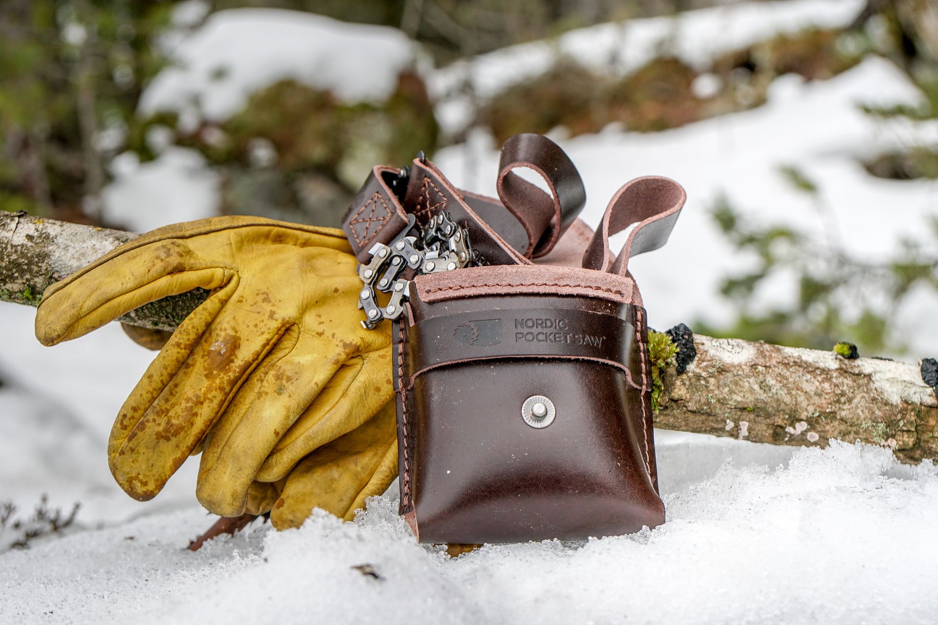 945414_npsp_nordicpocketsaw-3