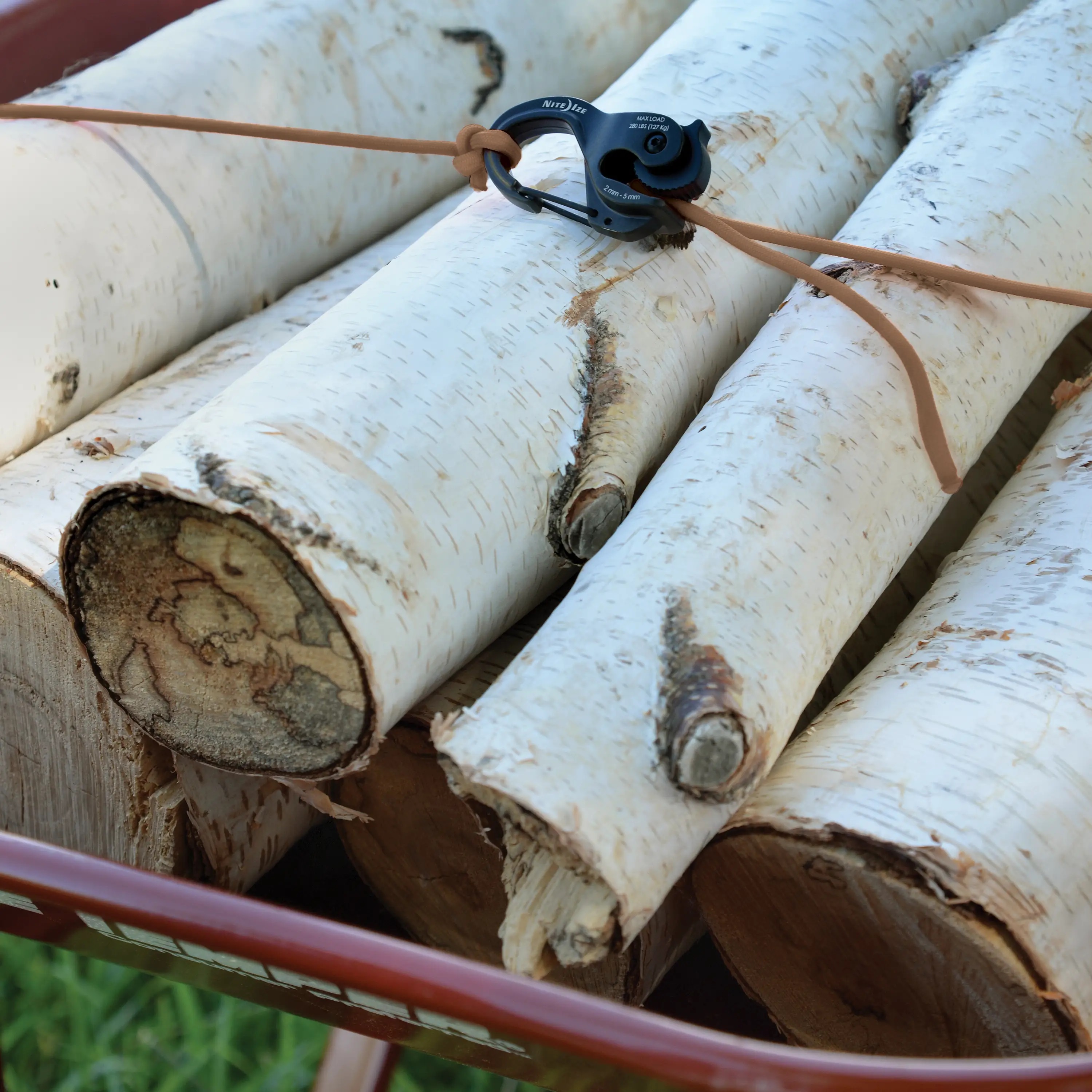 ncjsa-29-r3_f_0007_sqrgb