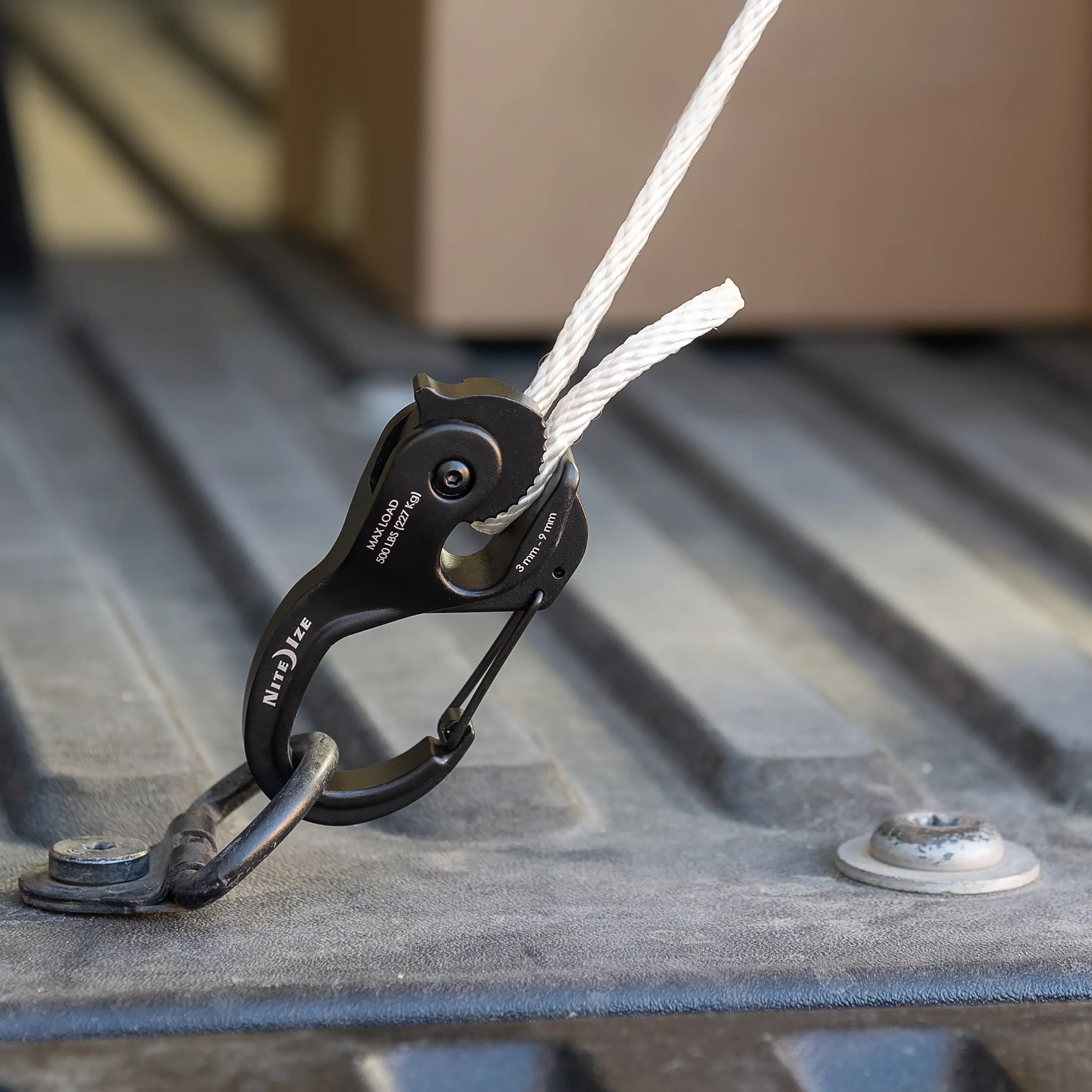 NCJLA-02-R3_F_0001_SQRGB_1