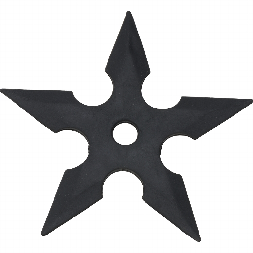 80353_g5dab4836097a1 Haller Trainings Wurfstern