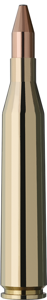 2117215_RWS_6-5x68_ks_8-2g_Einzelpatrone-Seite