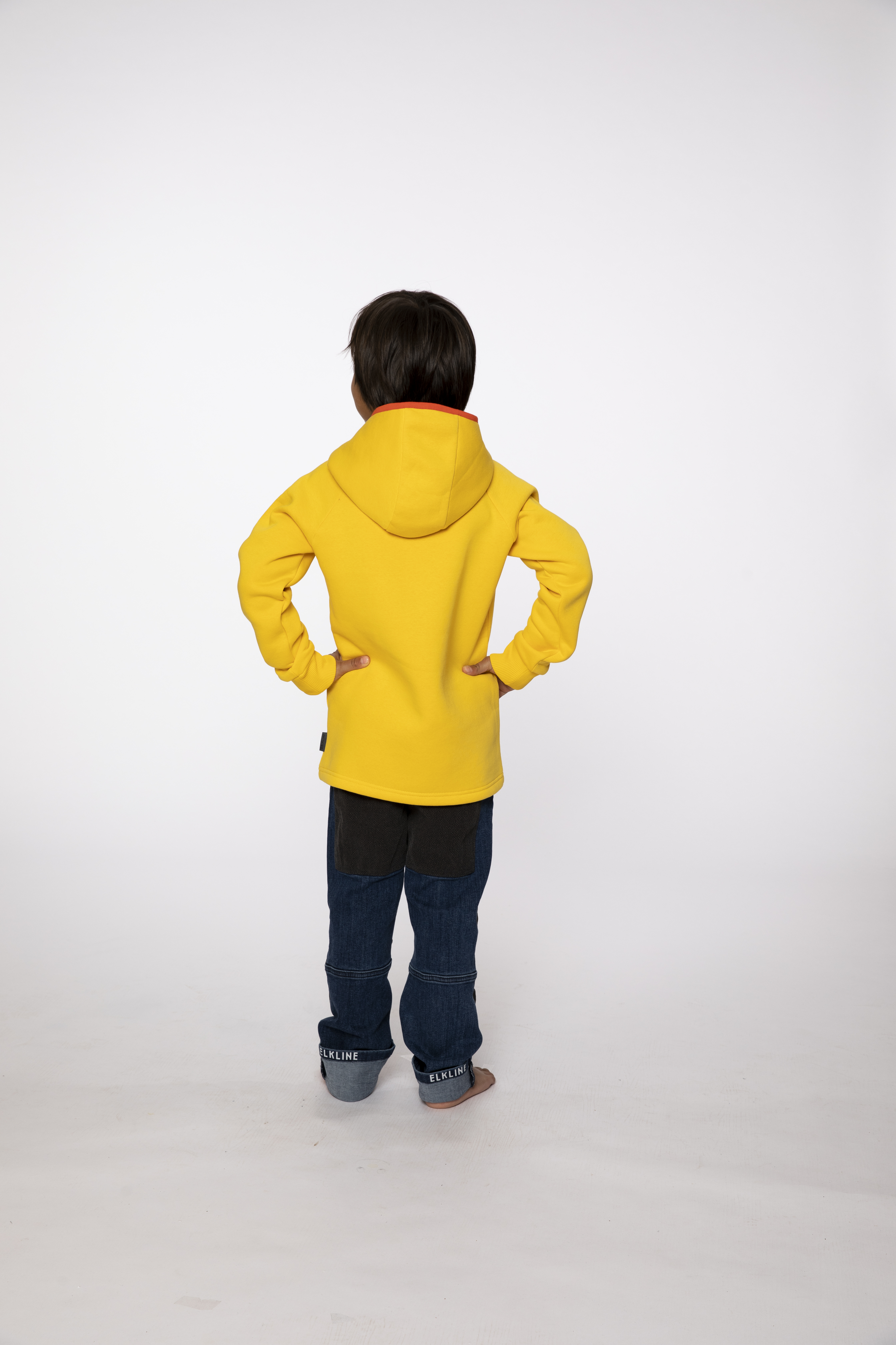 3031059_451000_upndown_3