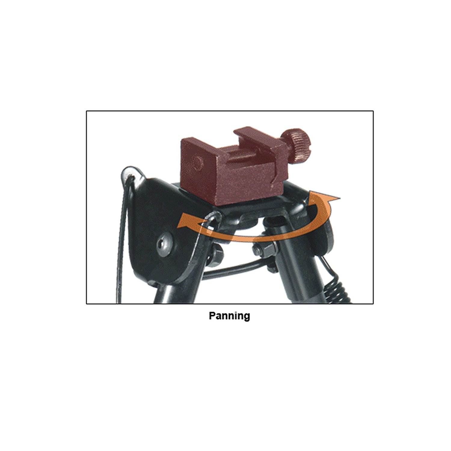 71q74-ZDs-L-_SL1500_