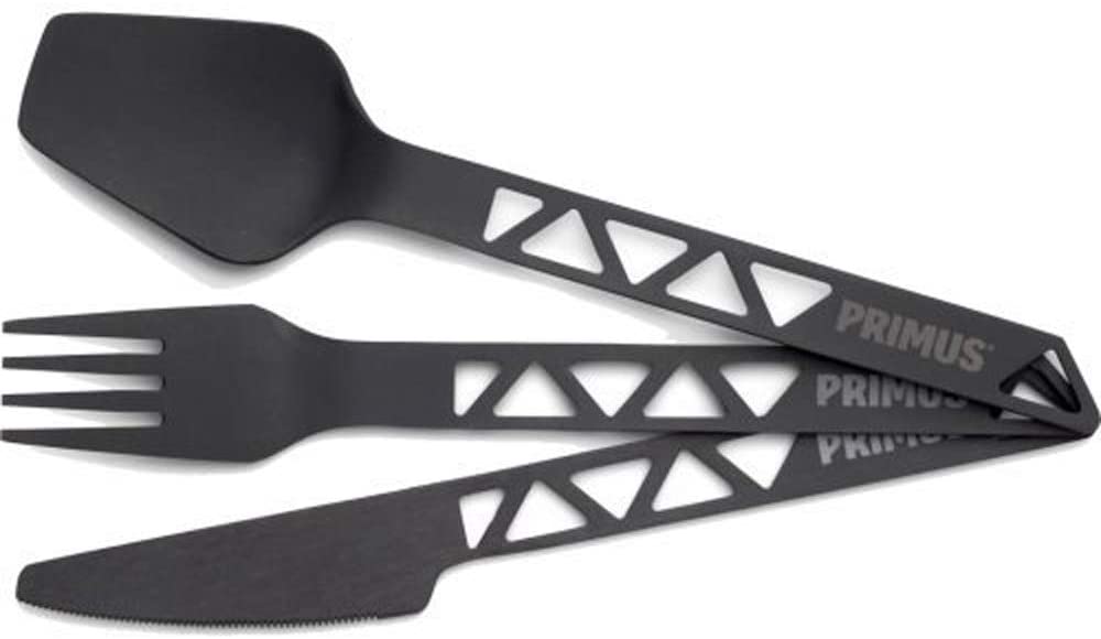 51FRsBnZ5sL-_AC_SL1000_