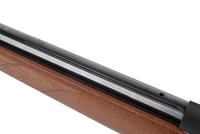 25000203_11_1920x1920