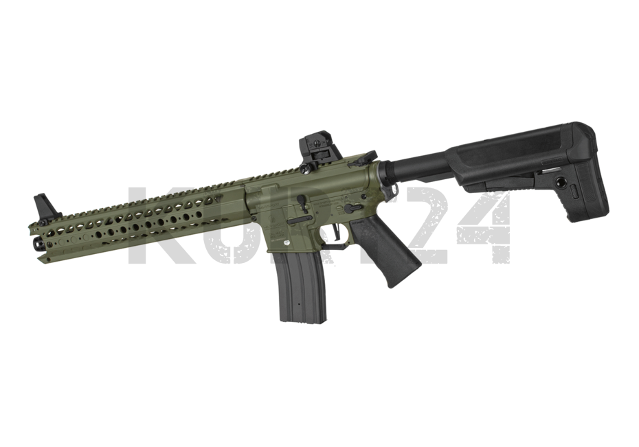 25246_22jz4v7NDNj4oj