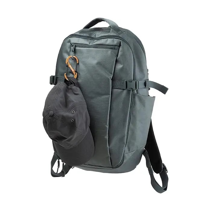 lsba4-29bg-r6_bf_0080_sqrgb_l