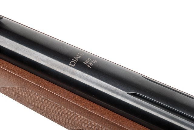 25000203_12_1920x1920