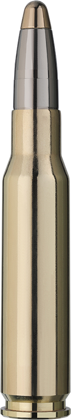 2315434_RWS_308win_evo_11-9g_Einzelpatrone-Seite