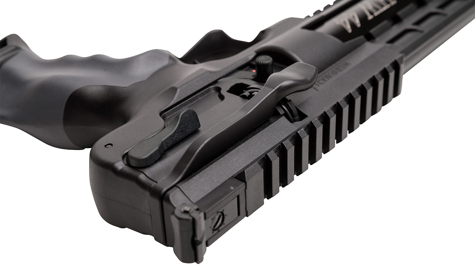 23186_2019_BqpxPpCSt0eJWm