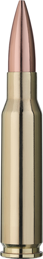 2403867_RWS_308win_target-elite-plus-match_10-9g_Einzelpatrone-Seite