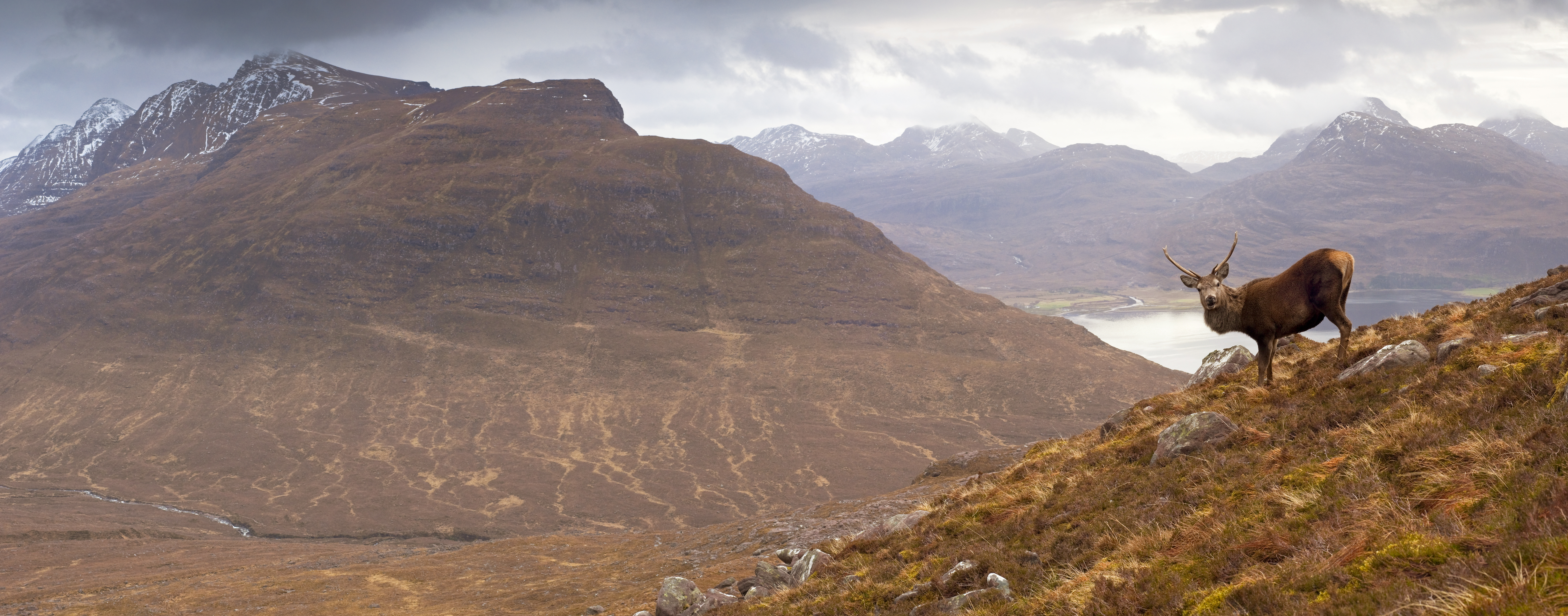 AdobeStock_56531355Z00lXDdd0AaiN