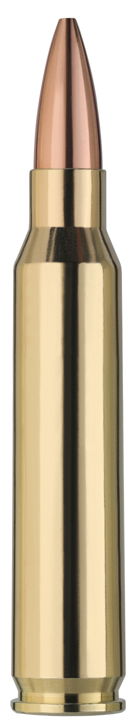 2411868_RWS_223_Rem_Target-Elite-Plus_4_5g_single-cartridge_01