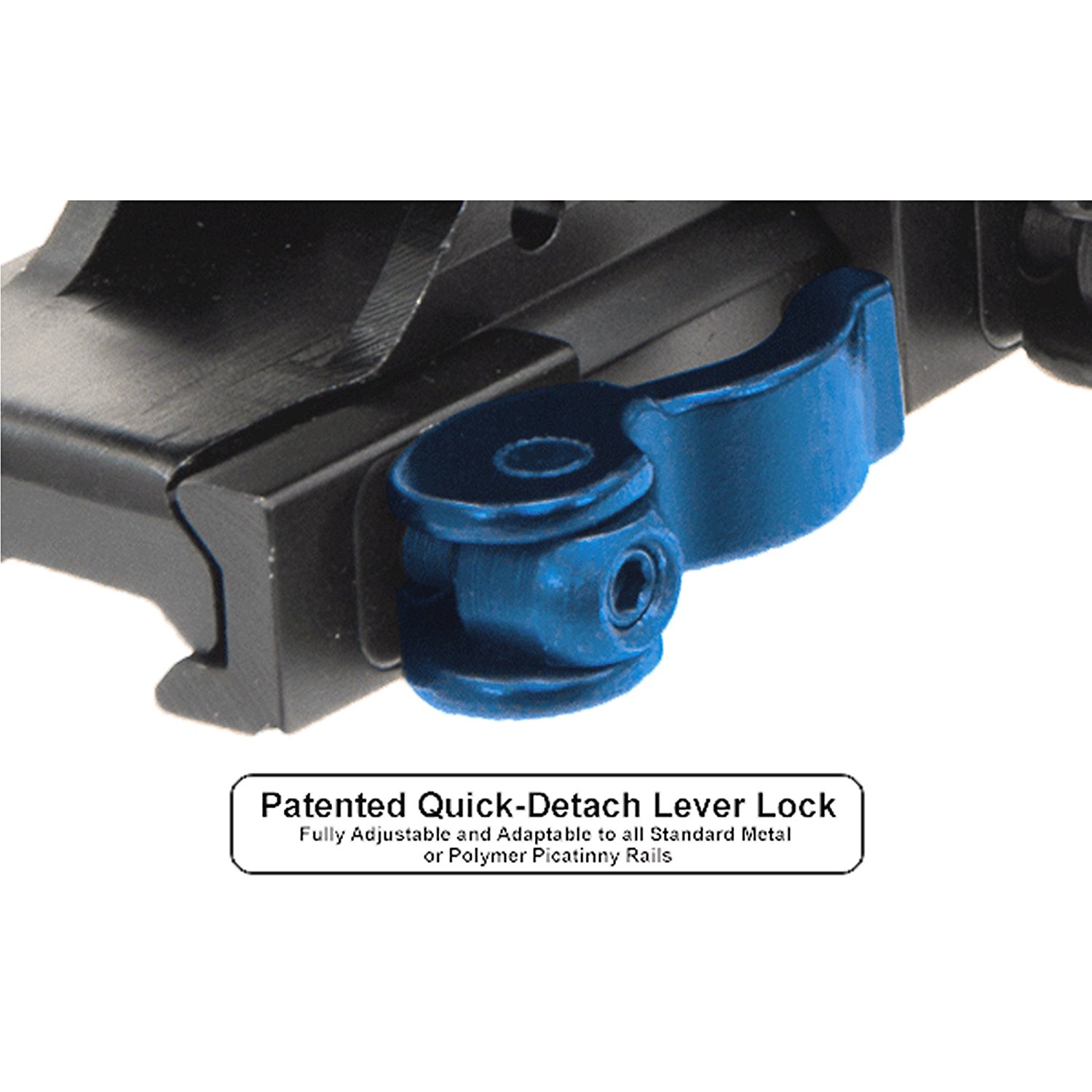 71yAJFdn-YL-_SL1500_