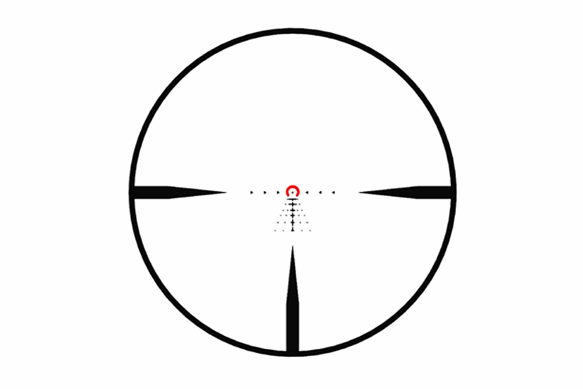 SOTM81000_5_1920x1920