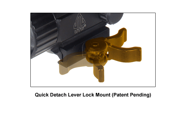 SCP_RG40_FEA_1ZtxA7Q8W0pTUf