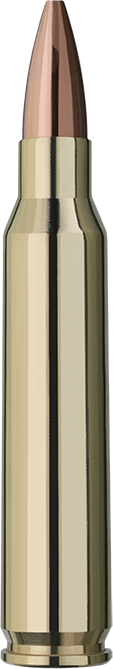 RWS .223 Rem. Target Elite Plus 5,0g / 77gr