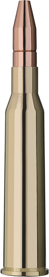 2117118_RWS_6-5x57r_dk_9-1g_Einzelpatrone-Seite