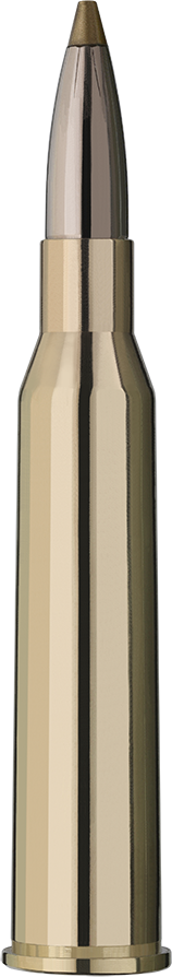 2401407_RWS_6-5x57r_evo-green_6-0g_Einzelpatrone-Seite