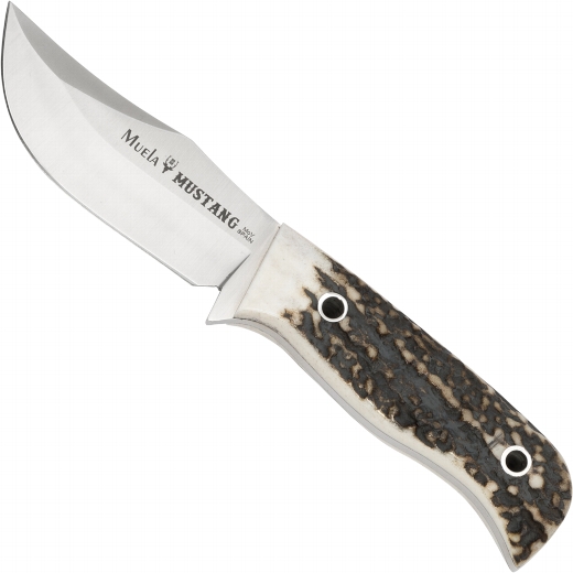 62017_g Muela Mustang Hirschhorn